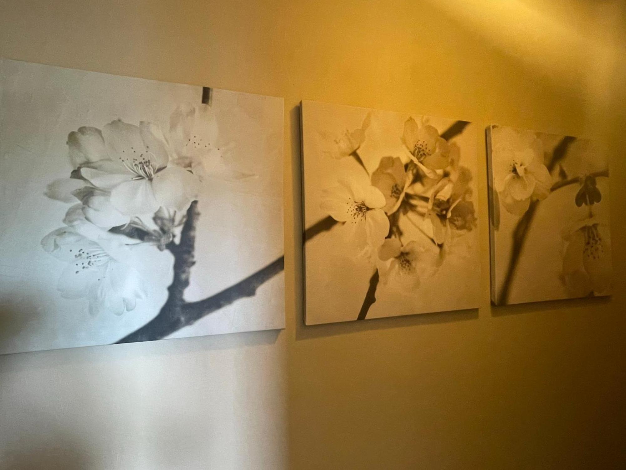 B&B Family@Home66 Brugge Ngoại thất bức ảnh
